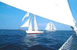 Veteran sail boats in Costa Smeralda -  Click to enlarge