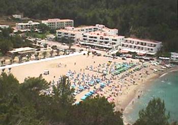 Photo by David Guyan 